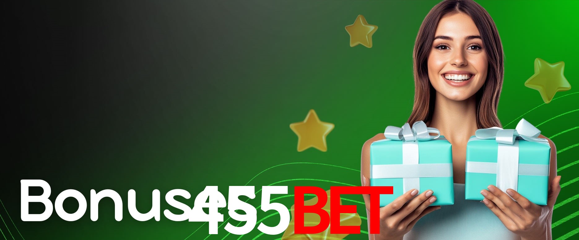 Security Systems 455BET